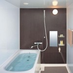 Picking a Shower Head and Other Bathroom Essentials-Reviews, Tips