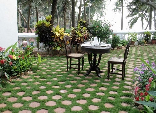 5 Terrific ideas for Terrace Garden.