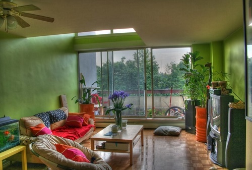 Greenery helps to create attractive living room design.