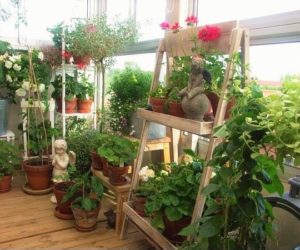 Vertical garden at the terrace