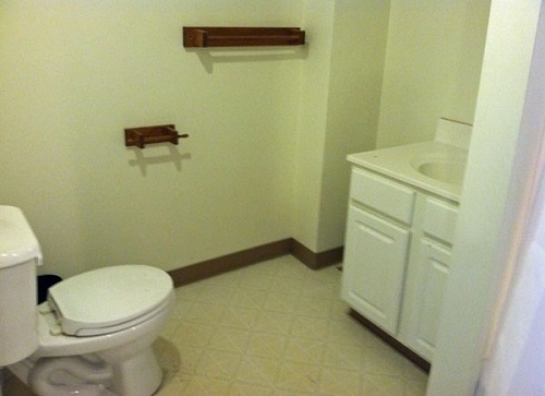 Bathroom Decorating ideas for Rental Property.