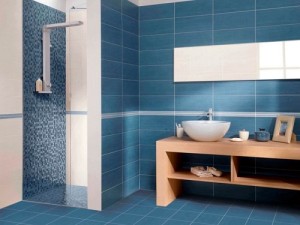 Plain bathroom tile design for old age people.