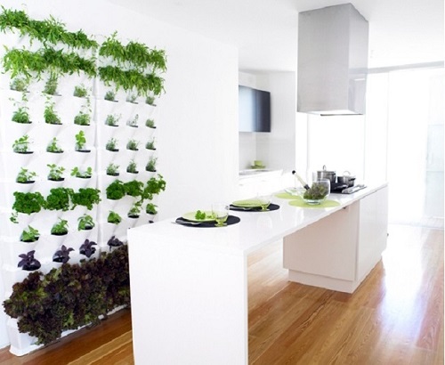 Vertical garden in kitchen area.