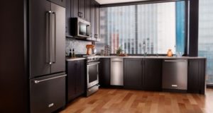 Top Black Kitchen Designs, Ideas, Pictures