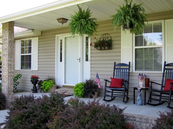 Plants to decorate porch wall