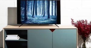 Local Australian Wood That Is Perfect For Making Furniture