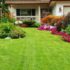 8 Tips for a Weed-Free Lawn