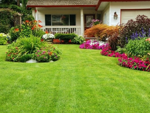 Lawn Insect Control: Tips and Tricks to Keeping Your Lawn Pest-Free