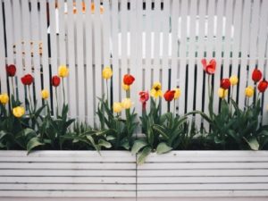 Fence decoration